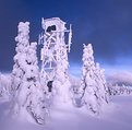 Picture Title - FIRETOWER