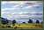 fields of wonder