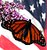 Patriotic Butterfly (with cloning)