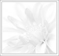 Picture Title - "White flower"