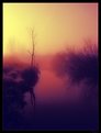 Picture Title - colour fog