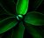 (very) green!
