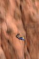 Picture Title - Base Jumping