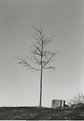 Picture Title - Emptiness