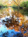 Picture Title - Down the lazy river