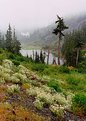 Picture Title - Bad Weather at Mt Baker