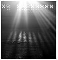 Picture Title - Sun Rays