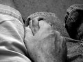 Picture Title - Father & Son