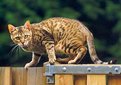 Picture Title - Oops, caught!