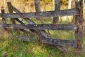 Picture Title - Forgotten Fence