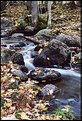 Picture Title - a fall stream