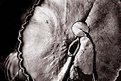 Picture Title - lilly pad 2