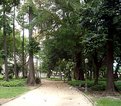 Picture Title - Passeio Publico - Rio de Janeiro