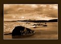 Picture Title - embleton beach looking onto dunstanburge castle