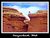 Little Tree   Arch National Monument, Utah