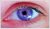 Eye See You