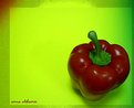 Picture Title - Pepper in colors