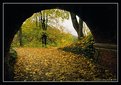 Picture Title - Exit in an autumn