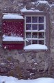 Picture Title - Snowy Window