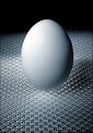 Picture Title - Egg