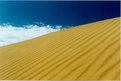 Picture Title - Going Up Into Blue