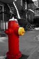 Picture Title - Fire hydrant