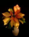 Picture Title - Poinsettia in white vase