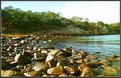 Picture Title - Golden Rocks. Pigeone Cove 2003