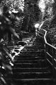 Picture Title - stairway to heaven