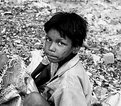 Picture Title - Will you.....