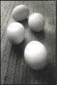 Picture Title - Eggs
