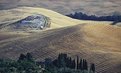 Picture Title - Scene in Tuscany 15