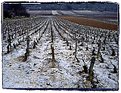 Picture Title - Snowfall in Burgundy