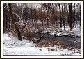 Picture Title - Pennypack Park (s1403)