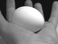 Picture Title - An Egg II