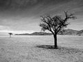 Picture Title - Landscape in BW