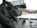 Picture Title - Tsukubai Dragon at Horyuji Temple, Japan