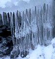 Picture Title - Ice