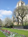 Picture Title - Notre Dame in spring