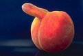 Picture Title - male peach