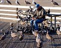 Picture Title - The Bird Man of Pismo
