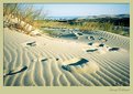 Picture Title - Footprints in the dunes
