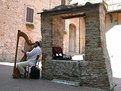 Picture Title - Playing harp in San Gimignano