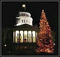 Picture Title - Capitol Christmas Tree