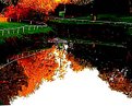 Picture Title - Autum pond refflection