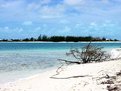 Picture Title - Iguana Island