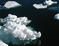 Picture Title - Antarctic Ice