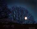 Picture Title - Luna sul Monte Cengio