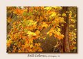 Picture Title - Fall Colors