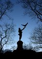 Picture Title - "The Falconer" at Dusk